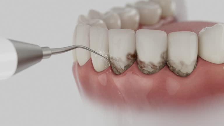 Reliable Dental contractor in Lake Hamilton, AR by Dentist Open Now